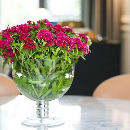 Apartament Paulove كراكوفيا المظهر الخارجي الصورة