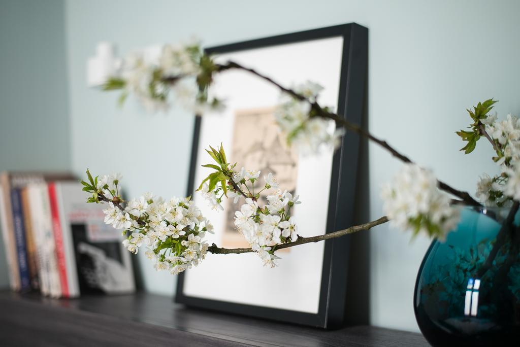 Apartament Paulove كراكوفيا المظهر الخارجي الصورة