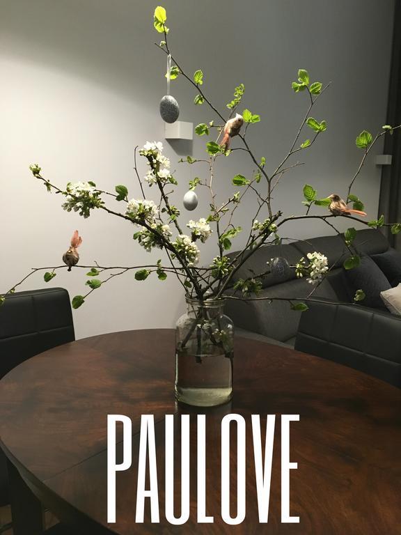 Apartament Paulove كراكوفيا المظهر الخارجي الصورة